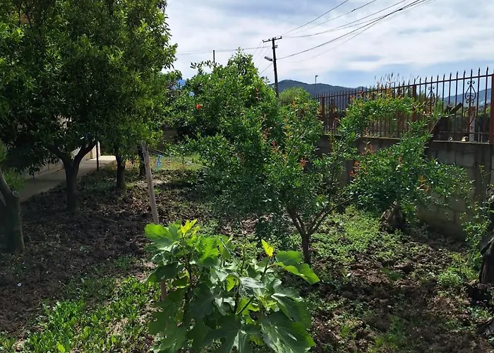 Affittacamere Edison