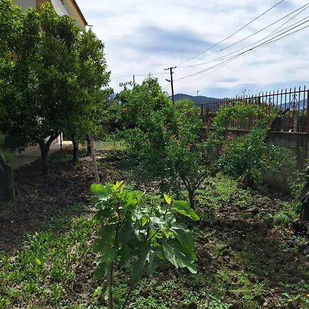 Гостевой дом Edison